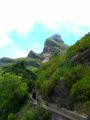 Madeira0895.JPG